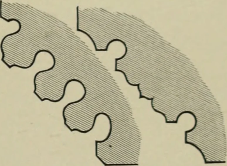 An illustration from An analysis of Gothic architecture. Illustrated by a series of upwards of seven hundred examples of doorways, windows, mouldings, roofs, arches, crosses, panels, buttresses, seats, screens, etc., and accompanied with remarks on the several details of an ecclesiastical edifice, 1903, leaf 76