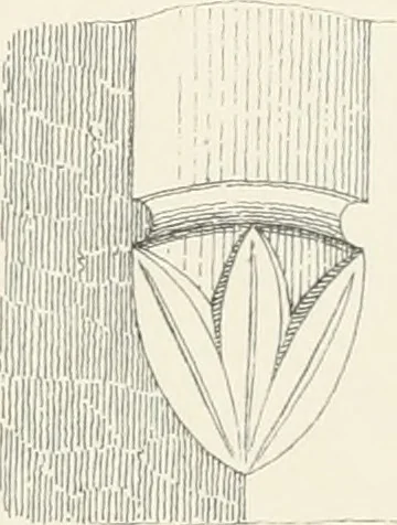 An illustration from An analysis of Gothick architecture ;, 1847, leaf 192