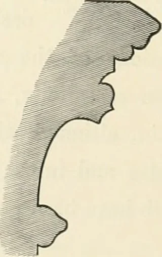 An illustration from An analysis of Gothick architecture ;, 1847, leaf 21