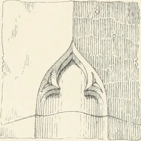 An illustration from An analysis of Gothick architecture ;, 1847, leaf 262