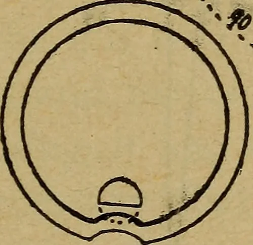 An illustration from An analysis of the lever escapement, 1910, leaf 40