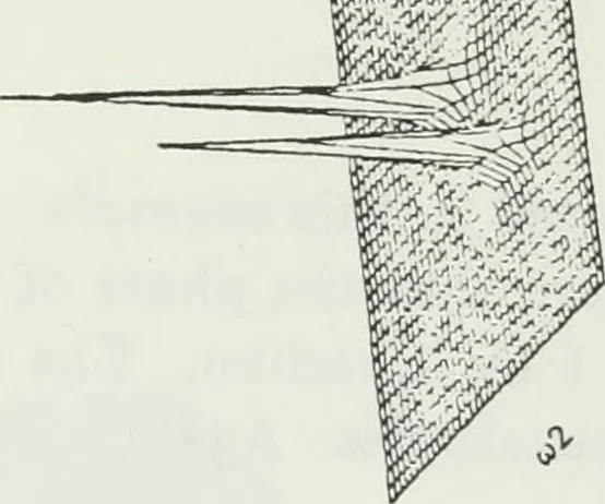 An illustration from The analysis of multichannel two-dimensional random signals, 1718, leaf 55
