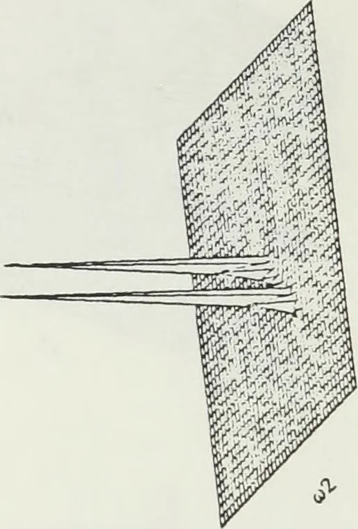 An illustration from The analysis of multichannel two-dimensional random signals, 1718, leaf 61