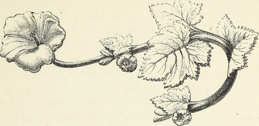 An illustration from Analysis of ornament. The characteristics of styles : an introduction to the study of the history of ornamental art, 1860, leaf 16