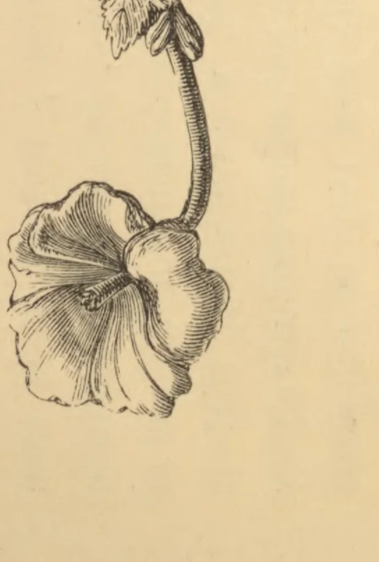 An illustration from Analysis of ornament, characteristics of styles; an introduction to the study of the history of ornamental art, 1879, leaf 22