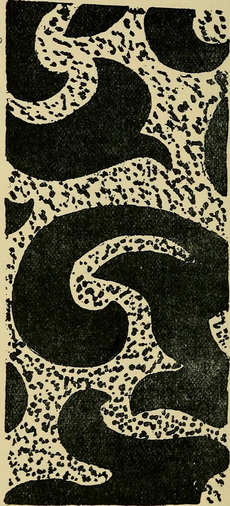 An illustration from The analysis & reproduction of textile fabrics : being a reasonable explanation of the necessary calculations and processes involved in analysing, effecting the required changes, and reproducing all the principal types of woven textures, from the raw materials to the finished cloth ; with an appendix upon "The cost of cloths.", 1894, leaf 143