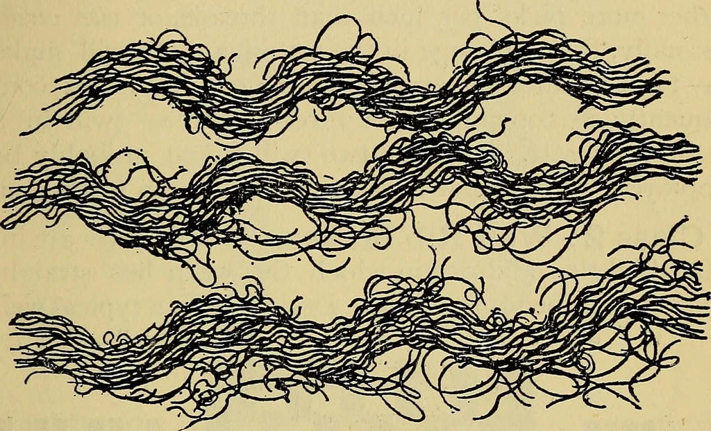 An illustration from The analysis & reproduction of textile fabrics : being a reasonable explanation of the necessary calculations and processes involved in analysing, effecting the required changes, and reproducing all the principal types of woven textures, from the raw materials to the finished cloth ; with an appendix upon "The cost of cloths.", 1894, leaf 54