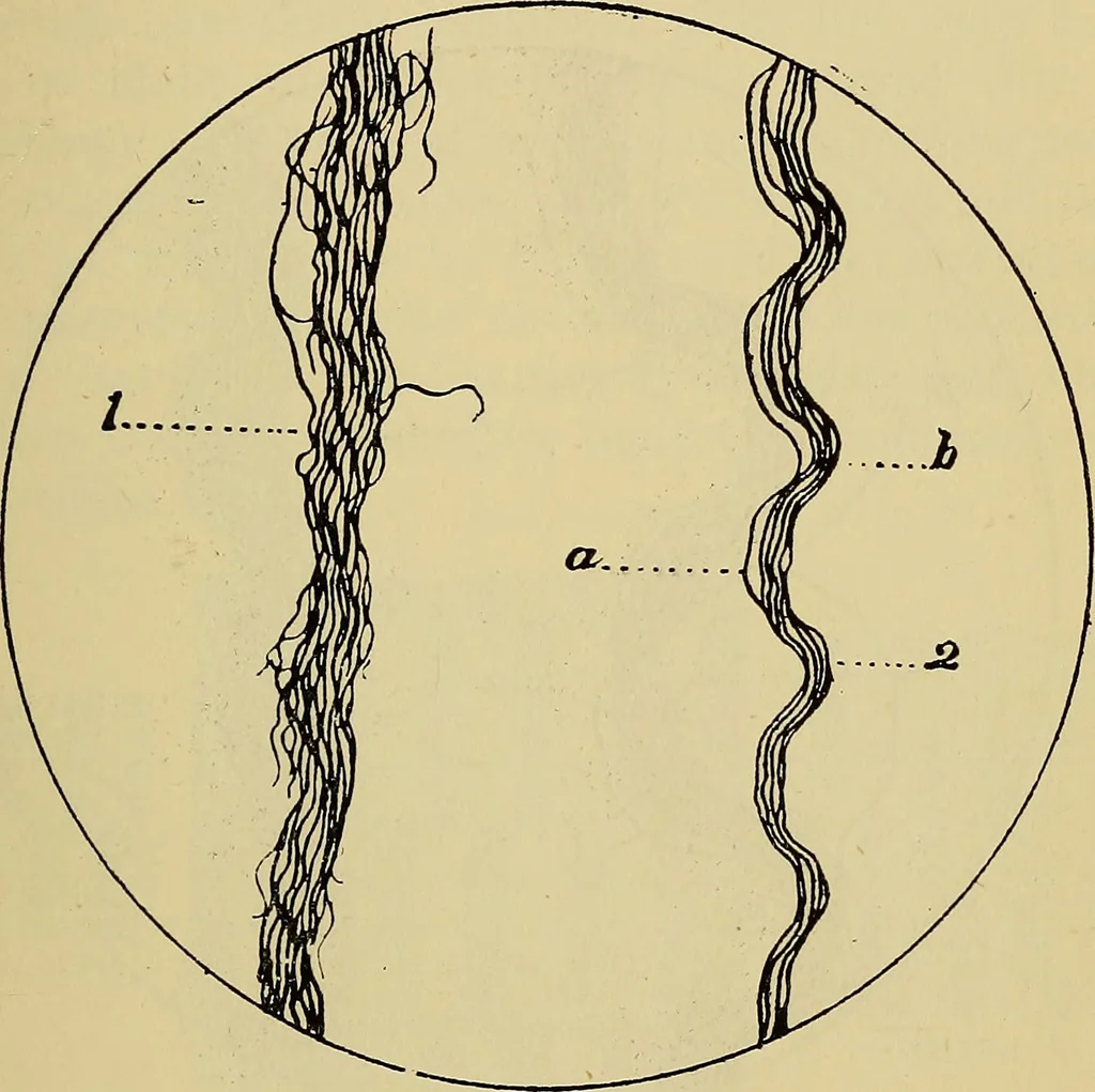 An illustration from The analysis & reproduction of textile fabrics : being a reasonable explanation of the necessary calculations and processes involved in analysing, effecting the required changes, and reproducing all the principal types of woven textures, from the raw materials to the finished cloth ; with an appendix upon "The cost of cloths.", 1894, leaf 56