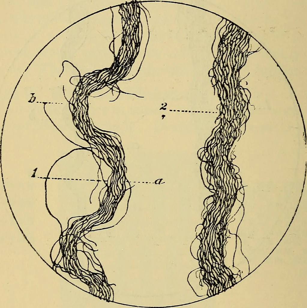 An illustration from The analysis & reproduction of textile fabrics : being a reasonable explanation of the necessary calculations and processes involved in analysing, effecting the required changes, and reproducing all the principal types of woven textures, from the raw materials to the finished cloth ; with an appendix upon "The cost of cloths.", 1894, leaf 57
