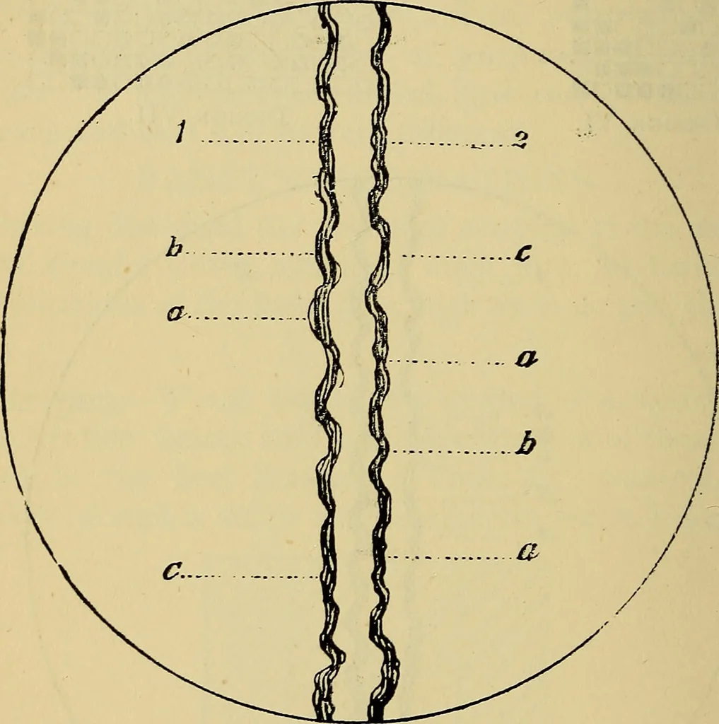 An illustration from The analysis & reproduction of textile fabrics : being a reasonable explanation of the necessary calculations and processes involved in analysing, effecting the required changes, and reproducing all the principal types of woven textures, from the raw materials to the finished cloth ; with an appendix upon "The cost of cloths.", 1894, leaf 61