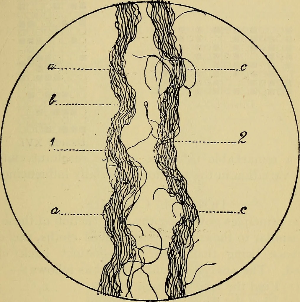 An illustration from The analysis & reproduction of textile fabrics : being a reasonable explanation of the necessary calculations and processes involved in analysing, effecting the required changes, and reproducing all the principal types of woven textures, from the raw materials to the finished cloth ; with an appendix upon "The cost of cloths.", 1894, leaf 70