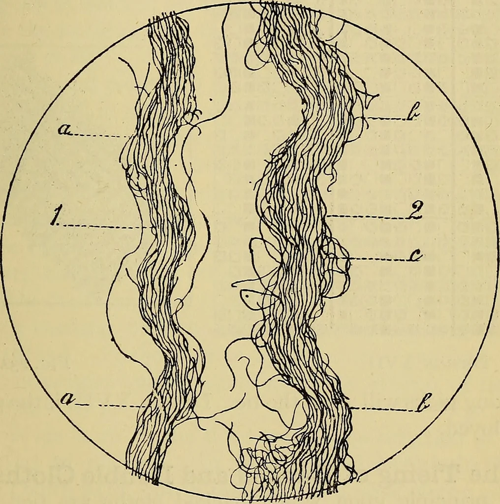 An illustration from The analysis & reproduction of textile fabrics : being a reasonable explanation of the necessary calculations and processes involved in analysing, effecting the required changes, and reproducing all the principal types of woven textures, from the raw materials to the finished cloth ; with an appendix upon "The cost of cloths.", 1894, leaf 72