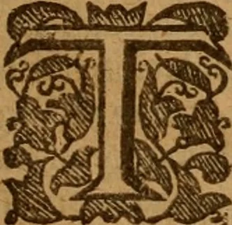 An illustration from An analytical exposition of both the epistles of the Apostle Peter, illustrated by doctrines out of every text .., 1641, leaf 40