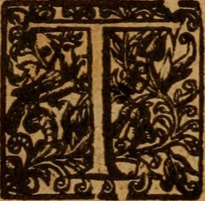 An illustration from An analytical exposition of both the epistles of the Apostle Peter, illustrated by doctrines out of every text .., 1641, leaf 8