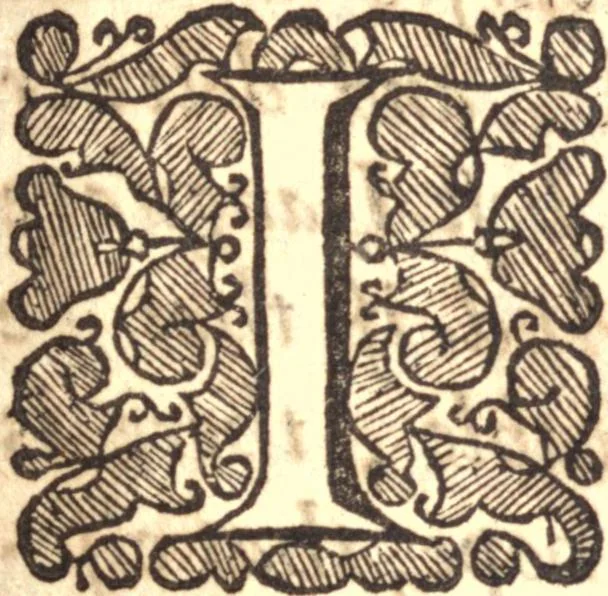 An illustration from An Answer to a letter of enquiry into The grounds and occasions of the contempt of the clergy, 1671, leaf 8