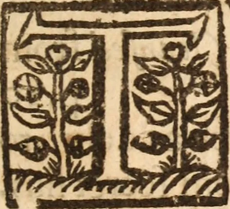 An illustration from The anatomy of secret sins, presumptuous sins, sins in dominion, and uprightness : Wherein divers weightly cases are resolved in relation to all those particulars; delivered in divers sermons preached at Mildreds in Bread-Street London, on Psalm 19. 12, 13 .., 1660, leaf 310