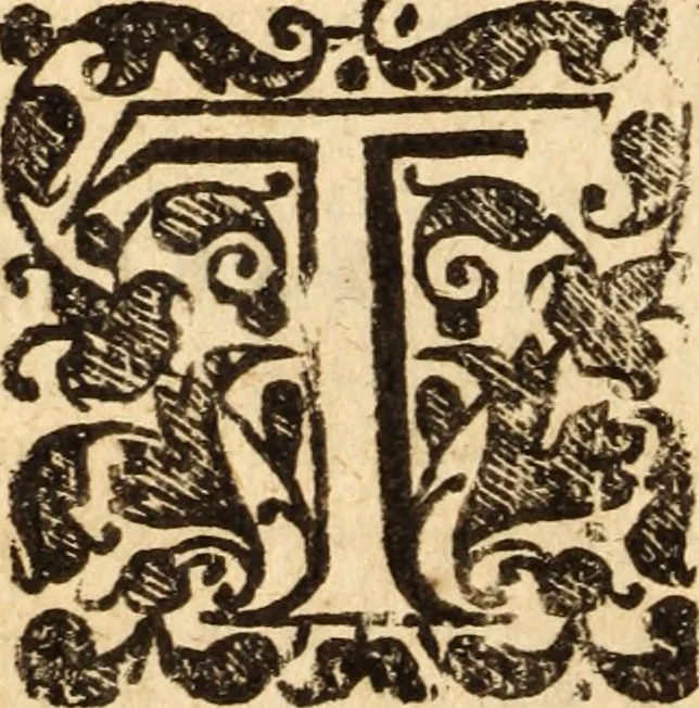 An illustration from The anatomy of secret sins, presumptuous sins, sins in dominion, and uprightness : Wherein divers weightly cases are resolved in relation to all those particulars; delivered in divers sermons preached at Mildreds in Bread-Street London, on Psalm 19. 12, 13 .., 1660, leaf 51