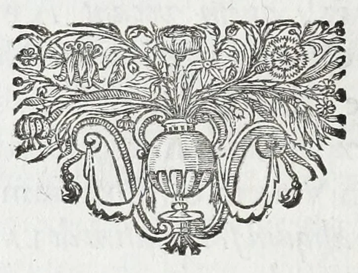 An illustration from Anastasis Childerici I. Francorum regis, siue, Thesaurus sepulchralis Tornaci Neruiorum effossus, & commentario illustratus, 1655, leaf 176