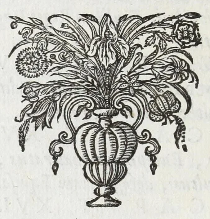 An illustration from Anastasis Childerici I. Francorum regis, siue, Thesaurus sepulchralis Tornaci Neruiorum effossus, & commentario illustratus, 1655, leaf 20