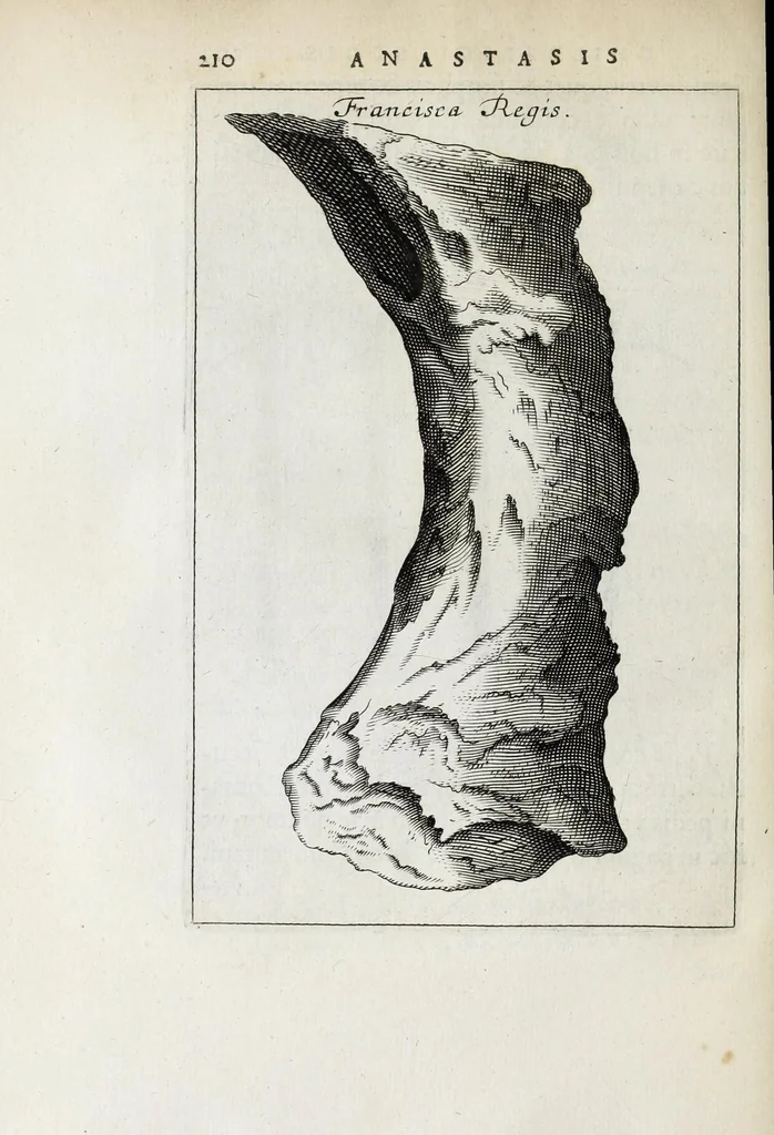 An illustration from Anastasis Childerici I. Francorum regis, siue, Thesaurus sepulchralis Tornaci Neruiorum effossus, & commentario illustratus, 1655, leaf 234