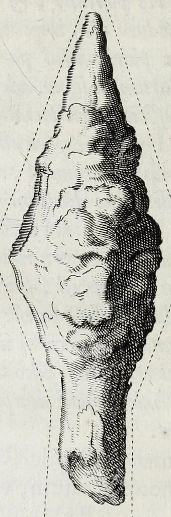 An illustration from Anastasis Childerici I. Francorum regis, siue, Thesaurus sepulchralis Tornaci Neruiorum effossus, & commentario illustratus, 1655, leaf 242