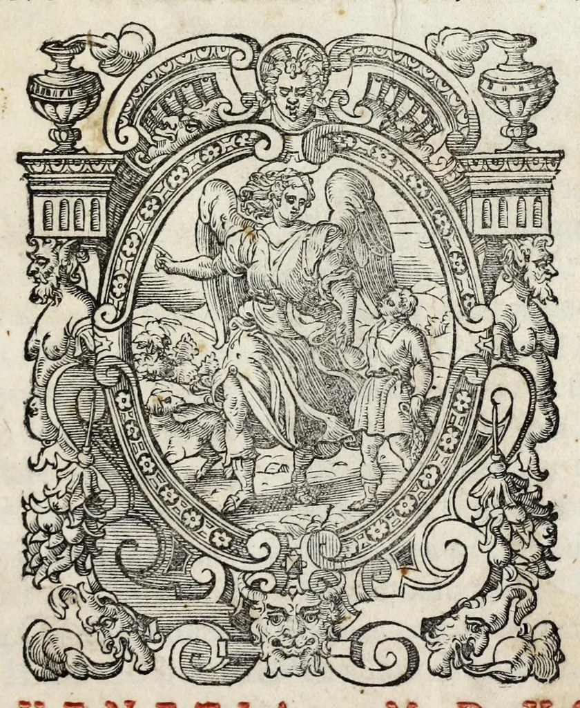 An illustration from Anatomia del cavallo, infermità, et svoi rimedii : opera nuova ..., 1599, leaf 5