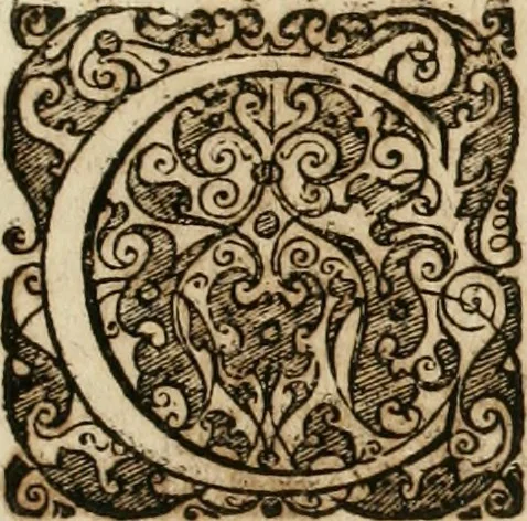 An illustration from Anatomiae amphitheatrvm effigie triplici, more et conditione varia, designatvm, 1623, leaf 10