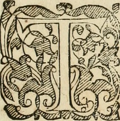 An illustration from Anatomiae amphitheatrvm effigie triplici, more et conditione varia, designatvm, 1623, leaf 204