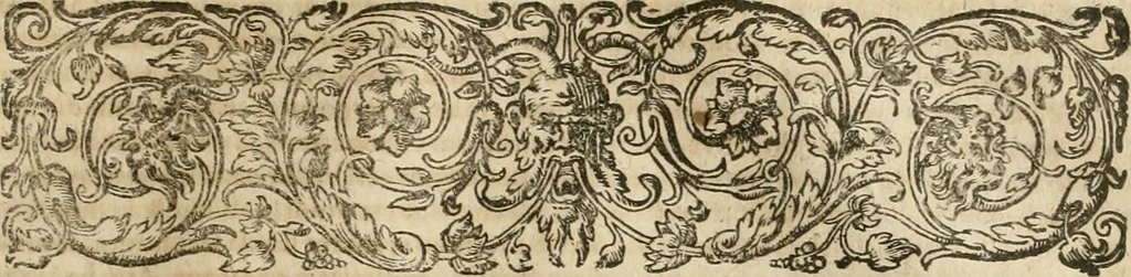 An illustration from Anatomiae amphitheatrvm effigie triplici, more et conditione varia, designatvm, 1623, leaf 226
