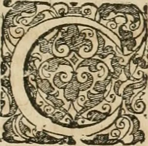 An illustration from Anatomiae amphitheatrvm effigie triplici, more et conditione varia, designatvm, 1623, leaf 226