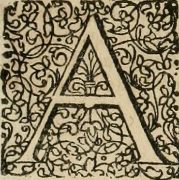 An illustration from Anatomiae amphitheatrvm effigie triplici, more et conditione varia, designatvm, 1623, leaf 258