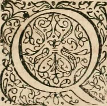An illustration from Anatomiae amphitheatrvm effigie triplici, more et conditione varia, designatvm, 1623, leaf 271