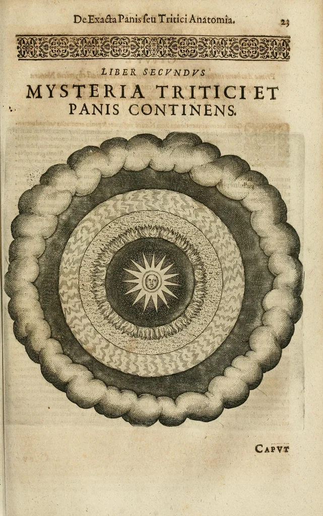 An illustration from Anatomiae amphitheatrvm effigie triplici, more et conditione varia, designatvm, 1623, leaf 29