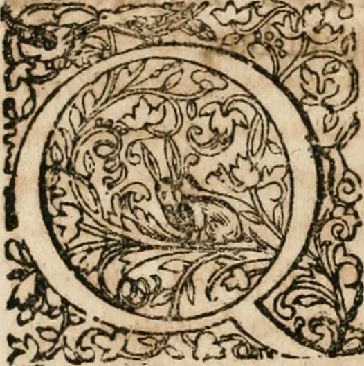 An illustration from Anatomiae amphitheatrvm effigie triplici, more et conditione varia, designatvm, 1623, leaf 295