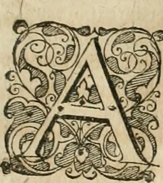 An illustration from Anatomiae amphitheatrvm effigie triplici, more et conditione varia, designatvm, 1623, leaf 298