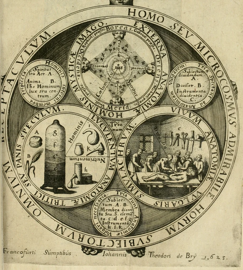 An illustration from Anatomiae amphitheatrvm effigie triplici, more et conditione varia, designatvm, 1623, leaf 4