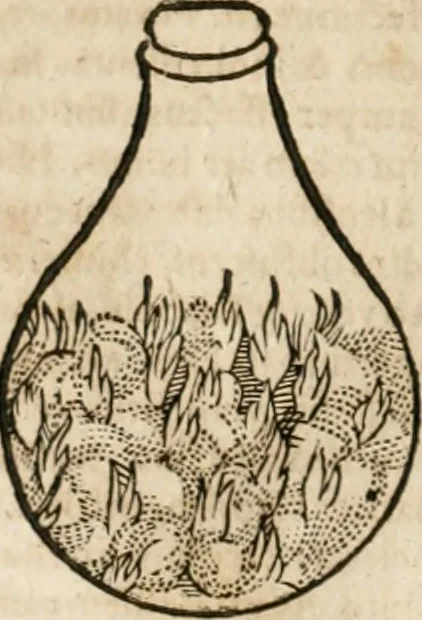 An illustration from Anatomiae amphitheatrvm effigie triplici, more et conditione varia, designatvm, 1623, leaf 41