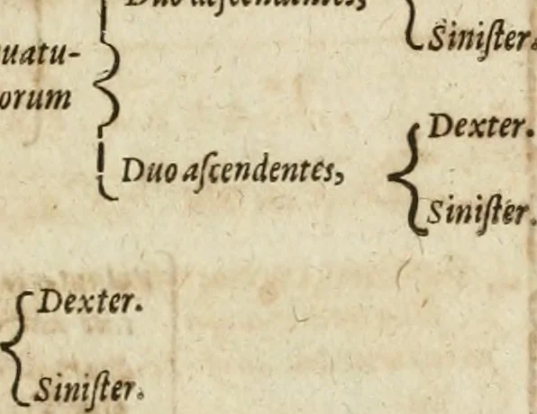 An illustration from Anatomiae amphitheatrvm effigie triplici, more et conditione varia, designatvm, 1623, leaf 68
