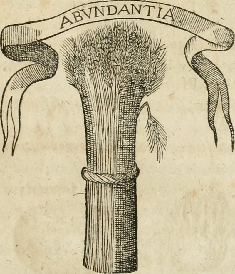 An illustration from Anatomiae amphitheatrvm effigie triplici, more et conditione varia, designatvm, 1623, leaf 8