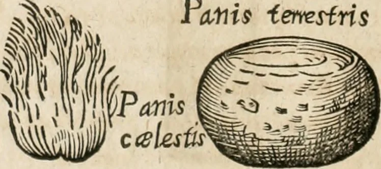 An illustration from Anatomiae amphitheatrvm effigie triplici, more et conditione varia, designatvm, 1623, leaf 9