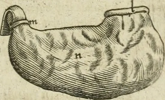 An illustration from Anatomiae amphitheatrvm effigie triplici, more et conditione varia, designatvm, 1623, leaf 98