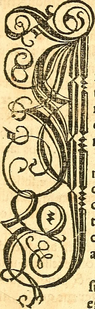 An illustration from Anatomiae, hoc est, corporis humani dissectionis pars prior, in qua singula quae ad caput spectant recensentur membra atque singulae partes, singulis suis ad uiuum commodissimè expressis figuris, deliniantur, 1537, leaf 10