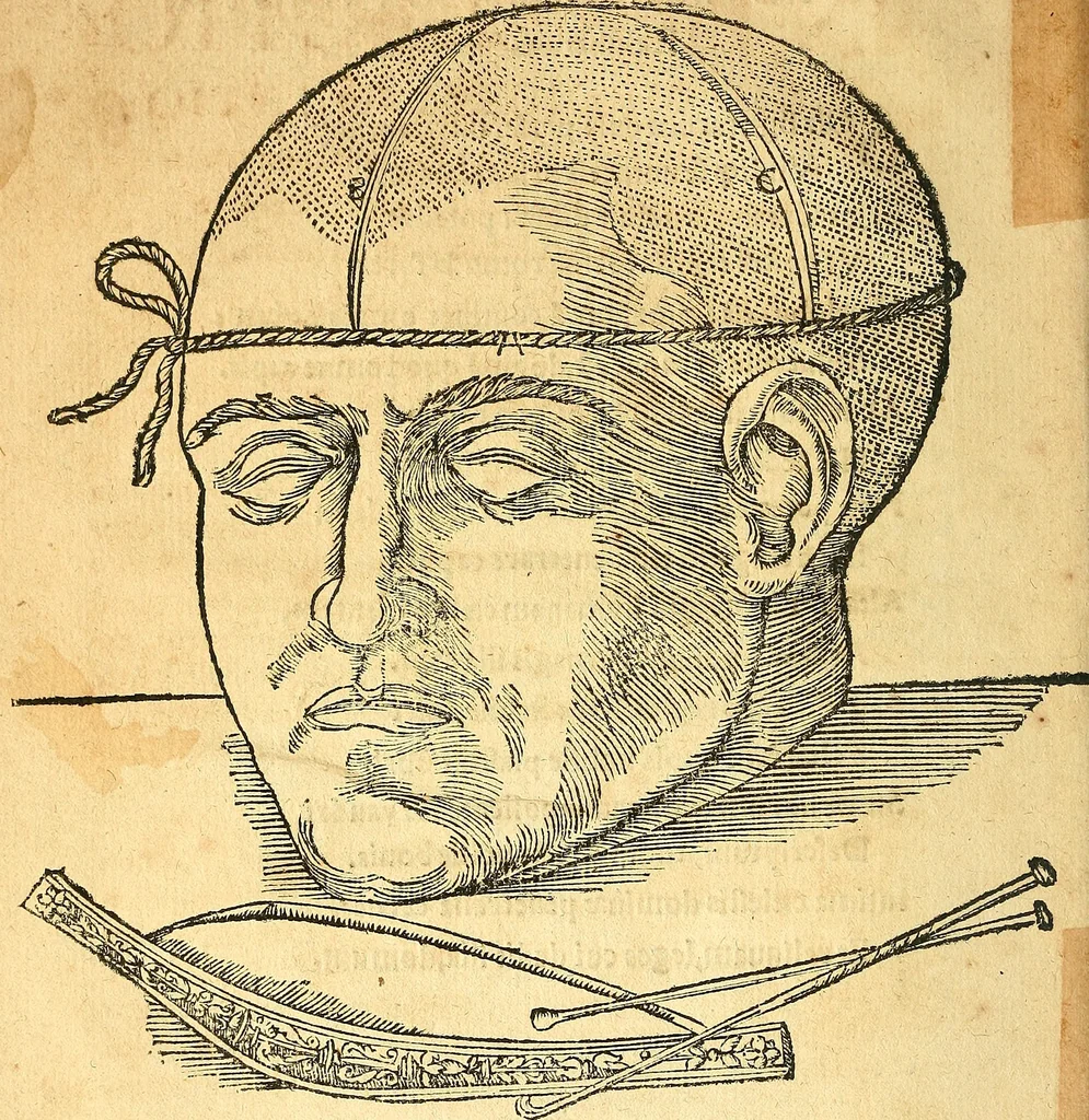 An illustration from Anatomiae, hoc est, corporis humani dissectionis pars prior, in qua singula quae ad caput spectant recensentur membra atque singulae partes, singulis suis ad uiuum commodissimè expressis figuris, deliniantur, 1537, leaf 9