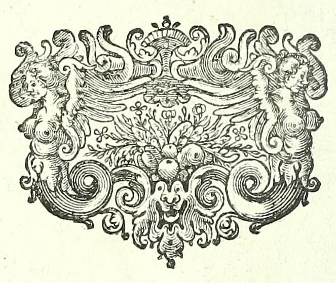 An illustration from Anatomia, ex Caspari Bartholini parentis Institutionibus,, 1651, leaf 396