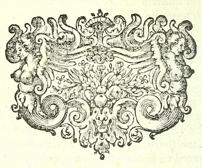An illustration from Anatomia, ex Caspari Bartholini parentis Institutionibus,, 1651, leaf 428