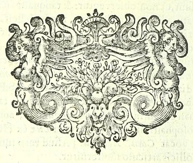 An illustration from Anatomia, ex Caspari Bartholini parentis Institutionibus,, 1651, leaf 564