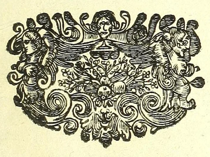 An illustration from Anatomia, ex Caspari Bartholini parentis Institutionibus :, 1666, leaf 11
