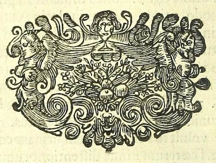 An illustration from Anatomia, ex Caspari Bartholini parentis Institutionibus :, 1666, leaf 230