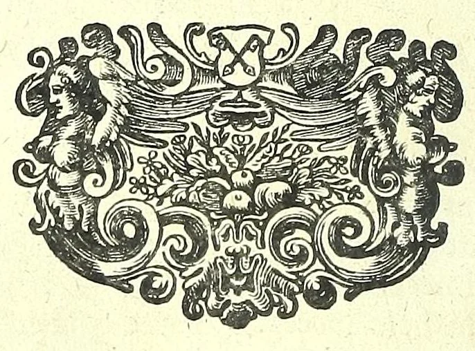An illustration from Anatomia, ex Caspari Bartholini parentis Institutionibus :, 1666, leaf 398