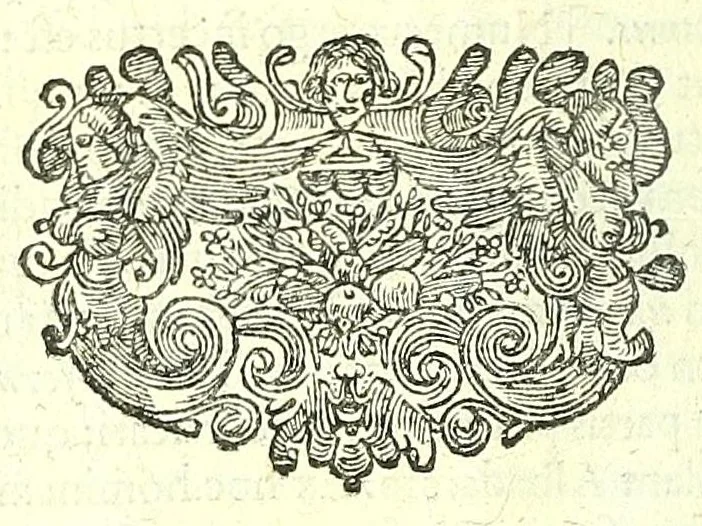 An illustration from Anatomia, ex Caspari Bartholini parentis Institutionibus :, 1666, leaf 552